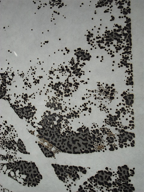 review：市川孝典 作品展「murmur」《1/16、1/23》 exchamber museum mirror 1