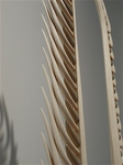 qV_12.JPG