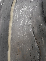 ʐl_09.JPG